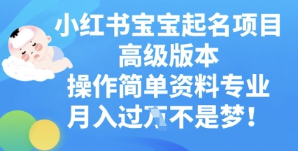 小红书宝宝起名项目高级版本，操作简单，资料专业，月入过W-靠创业轻松赚钱？[小白网创驿站] 整合稀缺资源，带你实现财富梦小白网创驿站