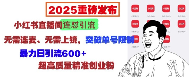 2025重磅发布：小红书直播间连怼引流，无需连麦、无需上镜，突破单号限制，暴力日引流600+-靠创业轻松赚钱？[小白网创驿站] 整合稀缺资源，带你实现财富梦小白网创驿站