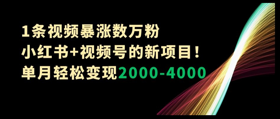 1条视频暴涨数万粉–小红书+视频号的新项目！单月轻松变现2000-4000【揭秘】-靠创业轻松赚钱？[小白网创驿站] 整合稀缺资源，带你实现财富梦小白网创驿站