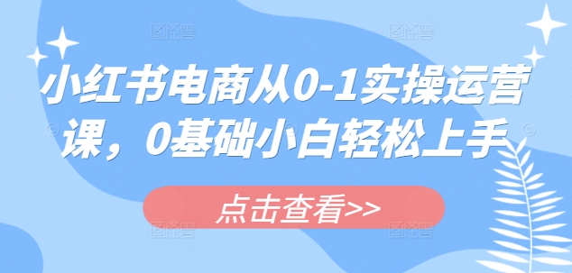 小红书电商从0-1实操运营课，0基础小白轻松上手-靠创业轻松赚钱？[小白网创驿站] 整合稀缺资源，带你实现财富梦小白网创驿站