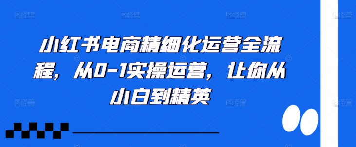 小红书电商精细化运营全流程，从0-1实操运营，让你从小白到精英-靠创业轻松赚钱？[小白网创驿站] 整合稀缺资源，带你实现财富梦小白网创驿站