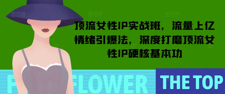 顶流女性IP实战班，流量上亿情绪引爆法，深度打磨顶流女性IP硬核基本功-靠创业轻松赚钱？[小白网创驿站] 整合稀缺资源，带你实现财富梦小白网创驿站