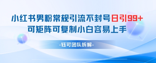 小红书男粉常规引流不封号日引99+变现简单 可矩阵可复制小白容易上手-靠创业轻松赚钱？[小白网创驿站] 整合稀缺资源，带你实现财富梦小白网创驿站