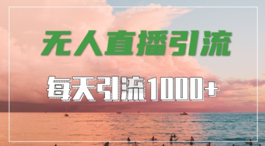 抖音快手视频号全平台通用，无人直播引流法，超暴力引流1000+高质量精准创业粉【揭秘】-靠创业轻松赚钱？[小白网创驿站] 整合稀缺资源，带你实现财富梦小白网创驿站