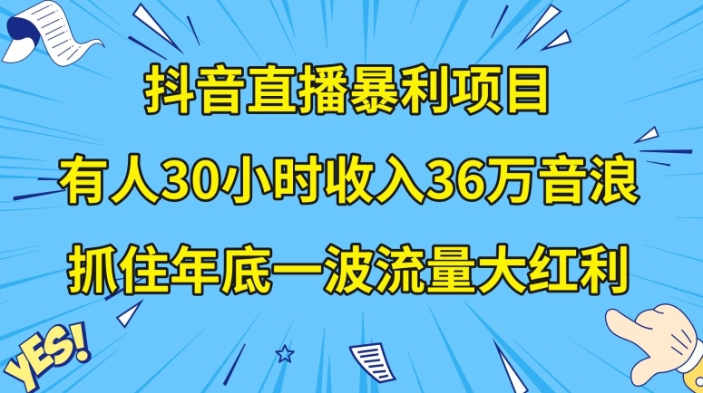 抖音直播暴利项目，有人30小时收入36万音浪，公司宣传片年会视频制作，抓住年底一波流量大红利【揭秘】-靠创业轻松赚钱？[小白网创驿站] 整合稀缺资源，带你实现财富梦小白网创驿站