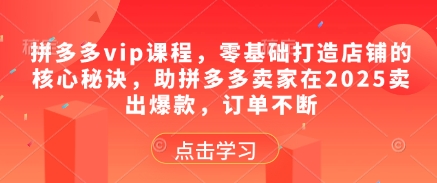 拼多多vip课程，零基础打造店铺的核心秘诀，助拼多多卖家在2025卖出爆款，订单不断-靠创业轻松赚钱？[小白网创驿站] 整合稀缺资源，带你实现财富梦小白网创驿站