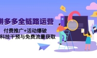 （14789期）拼多多全链路运营5月课：付费推广+活动爆破，黑科技干预与免费流量获取-靠创业轻松赚钱？[小白网创驿站] 整合稀缺资源，带你实现财富梦小白网创驿站