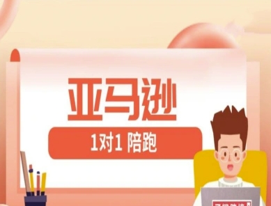 亚马逊1对1陪跑课(FBA/FBM精铺)跨境亚马逊教程-靠创业轻松赚钱？[小白网创驿站] 整合稀缺资源，带你实现财富梦小白网创驿站