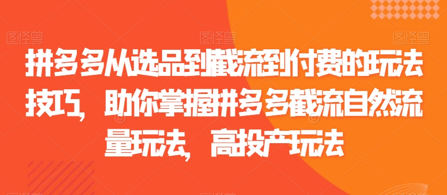 拼多多从选品到截流到付费的玩法技巧，助你掌握拼多多截流自然流量玩法，高投产玩法-靠创业轻松赚钱？[小白网创驿站] 整合稀缺资源，带你实现财富梦小白网创驿站