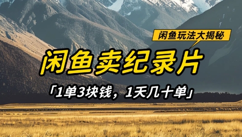 闲鱼卖纪录片1单3块钱，1天几十单，项目稳定有潜力-靠创业轻松赚钱？[小白网创驿站] 整合稀缺资源，带你实现财富梦小白网创驿站