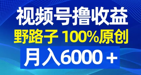 视频号野路子撸收益，100%原创，条条爆款，月入6000＋【揭秘】-靠创业轻松赚钱？[小白网创驿站] 整合稀缺资源，带你实现财富梦小白网创驿站