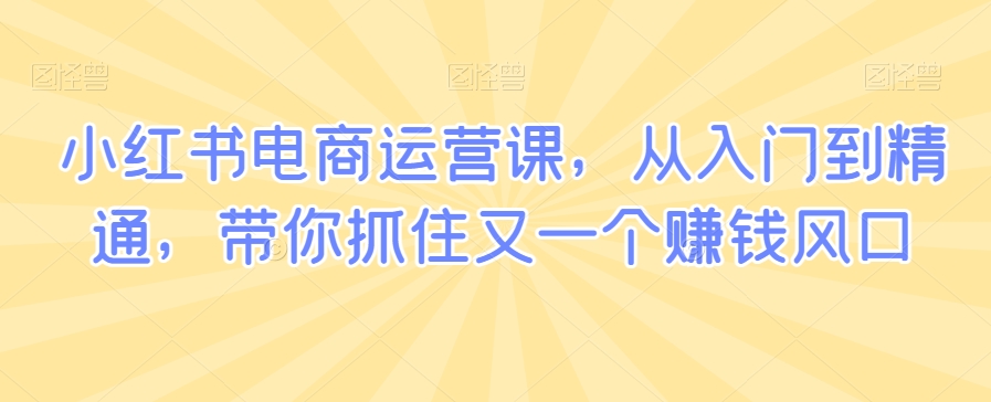 小红书电商运营课，从入门到精通，带你抓住又一个赚钱风口-靠创业轻松赚钱？[小白网创驿站] 整合稀缺资源，带你实现财富梦小白网创驿站