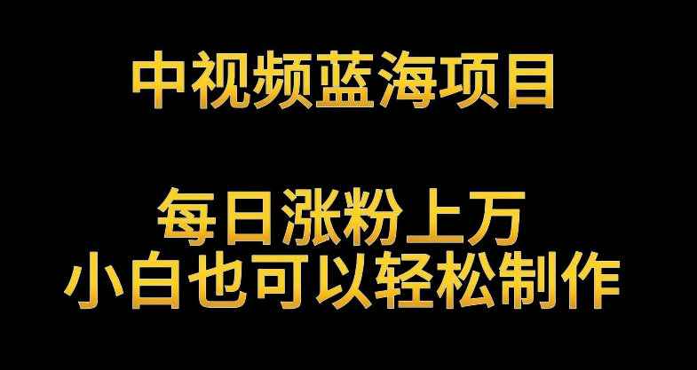 中视频蓝海项目，解读英雄人物生平，每日涨粉上万，小白也可以轻松制作，月入过万不是梦【揭秘】-靠创业轻松赚钱？[小白网创驿站] 整合稀缺资源，带你实现财富梦小白网创驿站