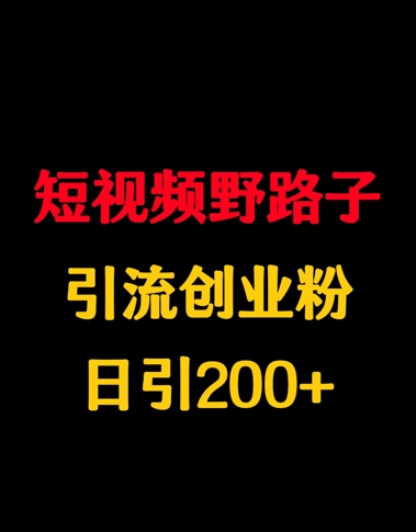 短视频野路子引流创业粉，日引200+-靠创业轻松赚钱？[小白网创驿站] 整合稀缺资源，带你实现财富梦小白网创驿站