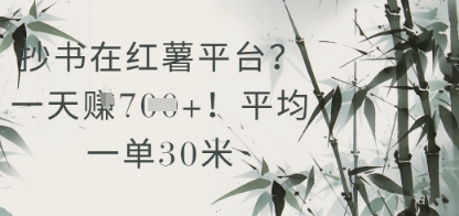 抄书在小红薯平台？平均一单30米，一天收益几张！-靠创业轻松赚钱？[小白网创驿站] 整合稀缺资源，带你实现财富梦小白网创驿站