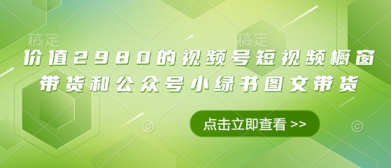 价值2980的视频号短视频橱窗带货和公众号小绿书图文带货-靠创业轻松赚钱？[小白网创驿站] 整合稀缺资源，带你实现财富梦小白网创驿站