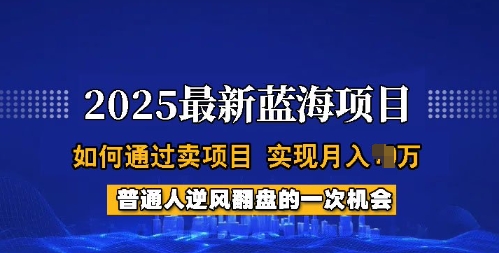 2025蓝海项目，普通人如何通过卖项目，实现月入过W，全过程【揭秘】-靠创业轻松赚钱？[小白网创驿站] 整合稀缺资源，带你实现财富梦小白网创驿站
