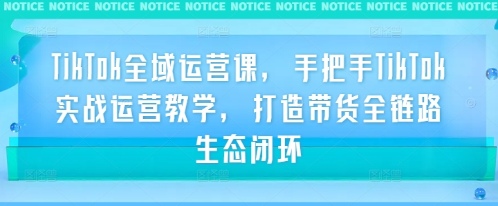 TikTok全域运营课，手把手TikTok实战运营教学，打造带货全链路生态闭环-靠创业轻松赚钱？[小白网创驿站] 整合稀缺资源，带你实现财富梦小白网创驿站