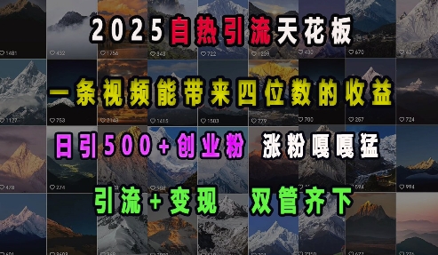 2025自热引流天花板，一条视频能带来四位数的收益，引流+变现双管齐下，日引500+创业粉，涨粉嘎嘎猛-靠创业轻松赚钱？[小白网创驿站] 整合稀缺资源，带你实现财富梦小白网创驿站