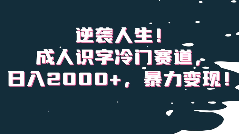 逆袭人生！成人识字冷门赛道，日入2000+，暴力变现！【揭秘】-靠创业轻松赚钱？[小白网创驿站] 整合稀缺资源，带你实现财富梦小白网创驿站