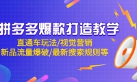 （14681期）拼多多爆款打造教学：直通车玩法/视觉营销/新品流量爆破/最新搜索规则等-靠创业轻松赚钱？[小白网创驿站] 整合稀缺资源，带你实现财富梦小白网创驿站