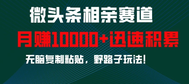 微头条相亲赛道，迅速积累，无脑复制粘贴，野路子玩法，月入1w-靠创业轻松赚钱？[小白网创驿站] 整合稀缺资源，带你实现财富梦小白网创驿站