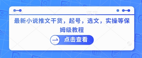 最新小说推文干货，起号，选文，实操等保姆级教程-靠创业轻松赚钱？[小白网创驿站] 整合稀缺资源，带你实现财富梦小白网创驿站