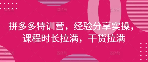 拼多多特训营，经验分享实操，课程时长拉满，干货拉满(更新25年4月)-靠创业轻松赚钱？[小白网创驿站] 整合稀缺资源，带你实现财富梦小白网创驿站