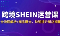 （14832期）跨境SHEIN运营课，全流程解析+商品曝光，快速提升新店销量-靠创业轻松赚钱？[小白网创驿站] 整合稀缺资源，带你实现财富梦小白网创驿站