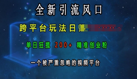 全新引流风口，跨平台玩法日入上k，单日狂揽200+精准创业粉，一个被严重忽略的视频平台-靠创业轻松赚钱？[小白网创驿站] 整合稀缺资源，带你实现财富梦小白网创驿站