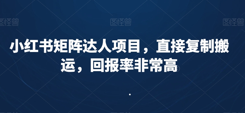 小红书矩阵达人项目，直接复制搬运，回报率非常高-靠创业轻松赚钱？[小白网创驿站] 整合稀缺资源，带你实现财富梦小白网创驿站