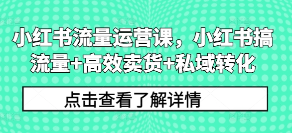 小红书流量运营课，小红书搞流量+高效卖货+私域转化-靠创业轻松赚钱？[小白网创驿站] 整合稀缺资源，带你实现财富梦小白网创驿站