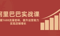 （14830期）阿里巴巴实战课：掌握1688流量密码，提升运营能力，实现店铺增长-靠创业轻松赚钱？[小白网创驿站] 整合稀缺资源，带你实现财富梦小白网创驿站