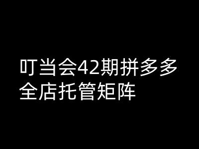 叮当会拼多多打爆班原创高阶技术第42期，拼多多全店托管矩阵-靠创业轻松赚钱？[小白网创驿站] 整合稀缺资源，带你实现财富梦小白网创驿站