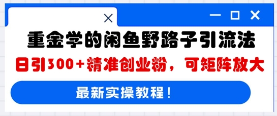 重金学的闲鱼野路子引流法，日引300+精准创业粉，可矩阵放大-靠创业轻松赚钱？[小白网创驿站] 整合稀缺资源，带你实现财富梦小白网创驿站
