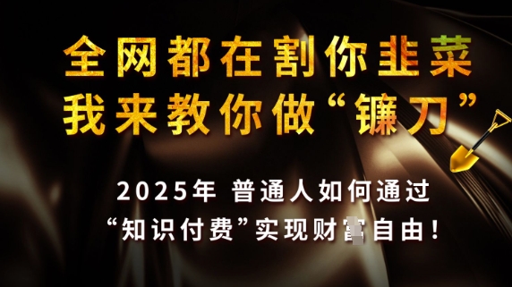 全网都在割你韭菜，我来教你做镰刀，2025普通人如何通过知识付费，实现财F自由【揭秘】-靠创业轻松赚钱？[小白网创驿站] 整合稀缺资源，带你实现财富梦小白网创驿站