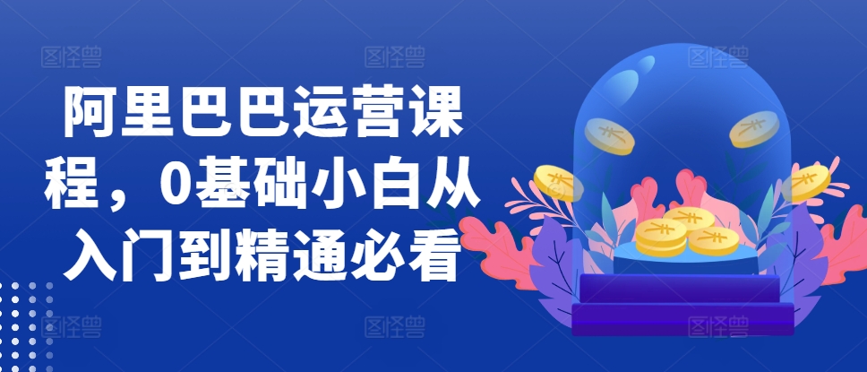 阿里巴巴运营课程，0基础小白从入门到精通必看-靠创业轻松赚钱？[小白网创驿站] 整合稀缺资源，带你实现财富梦小白网创驿站