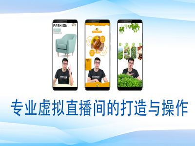 个人虚拟直播间的搭建与操作，专业虚拟直播间的打造与操作-靠创业轻松赚钱？[小白网创驿站] 整合稀缺资源，带你实现财富梦小白网创驿站