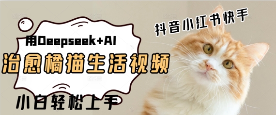 疯狂火爆，用Deepseek+AI做治愈橘猫系列视频，小白轻松制作+快速拿到结果-靠创业轻松赚钱？[小白网创驿站] 整合稀缺资源，带你实现财富梦小白网创驿站
