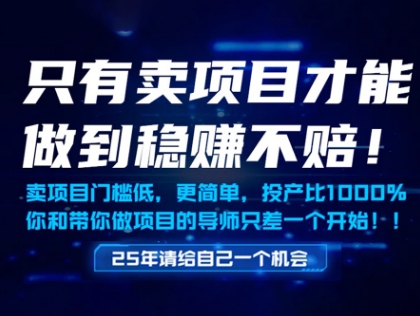 只有卖项目才能做到稳挣不赔，门槛低，更简单，你也可以年入百个W【揭秘】-靠创业轻松赚钱？[小白网创驿站] 整合稀缺资源，带你实现财富梦小白网创驿站