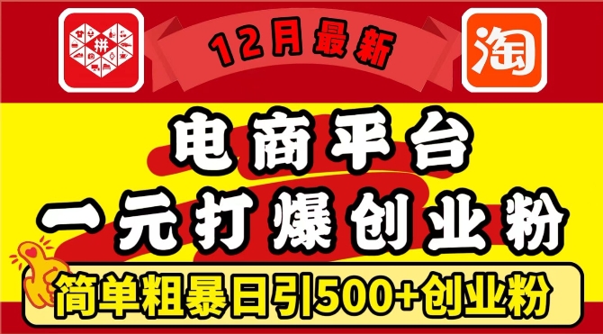 12月最新：电商平台1元打爆创业粉，简单粗暴日引500+精准创业粉，轻松月入过W【揭秘】-靠创业轻松赚钱？[小白网创驿站] 整合稀缺资源，带你实现财富梦小白网创驿站