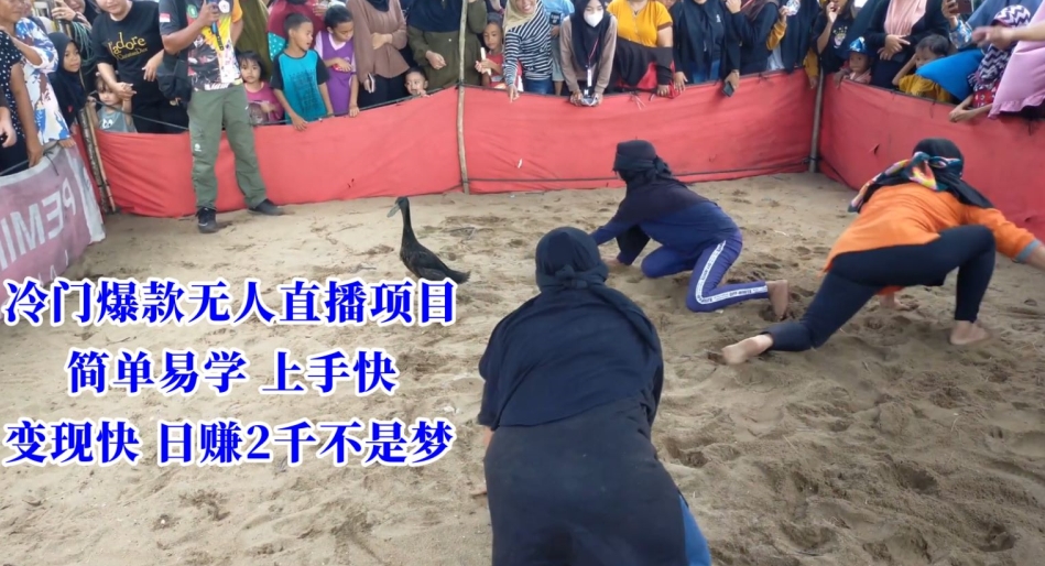 冷门爆款无人直播项目，简单易学上手快，变现快日赚2千不是梦【揭秘】-靠创业轻松赚钱？[小白网创驿站] 整合稀缺资源，带你实现财富梦小白网创驿站