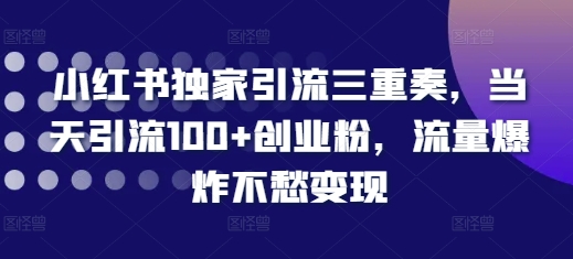 小红书独家引流三重奏，当天引流100+创业粉，流量爆炸不愁变现【揭秘】-靠创业轻松赚钱？[小白网创驿站] 整合稀缺资源，带你实现财富梦小白网创驿站