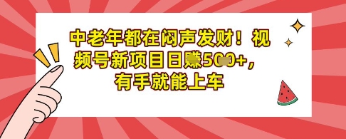 中老年都在闷声发财，视频号新项目日入多张，有手就能上车-靠创业轻松赚钱？[小白网创驿站] 整合稀缺资源，带你实现财富梦小白网创驿站