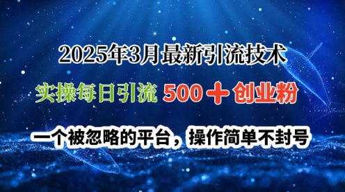 2025年3月最新引流技术，实操每日引流500+创业粉，一个被忽略的平台，操作简单不封号-靠创业轻松赚钱？[小白网创驿站] 整合稀缺资源，带你实现财富梦小白网创驿站