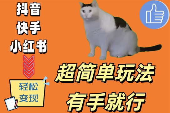 超简单玩法，有手就行，靠猫咪视频日入500+【揭秘】-靠创业轻松赚钱？[小白网创驿站] 整合稀缺资源，带你实现财富梦小白网创驿站