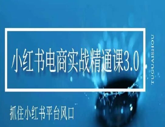 小红书电商实战精通课3.0，抓住小红书平台的风口，不错过有一个赚钱的机会-靠创业轻松赚钱？[小白网创驿站] 整合稀缺资源，带你实现财富梦小白网创驿站