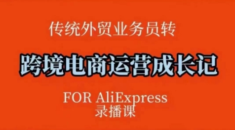 跨境电商速卖通运营课，​运营方法论+后台实操，逻辑清晰-靠创业轻松赚钱？[小白网创驿站] 整合稀缺资源，带你实现财富梦小白网创驿站