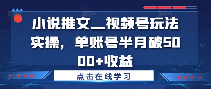 小说推文—视频号玩法实操，单账号半月破5000+收益-靠创业轻松赚钱？[小白网创驿站] 整合稀缺资源，带你实现财富梦小白网创驿站