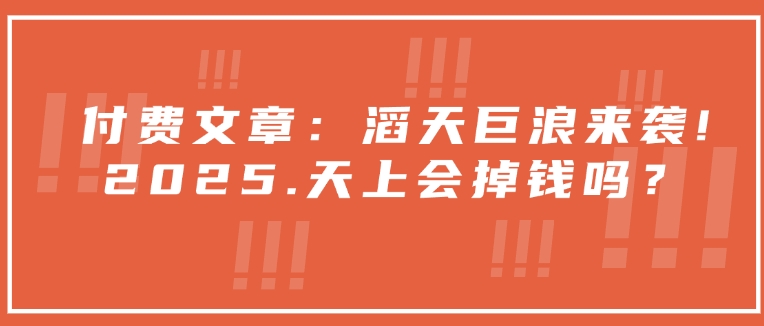 付费文章：滔天巨浪来袭！2025天上会掉钱吗？-靠创业轻松赚钱？[小白网创驿站] 整合稀缺资源，带你实现财富梦小白网创驿站